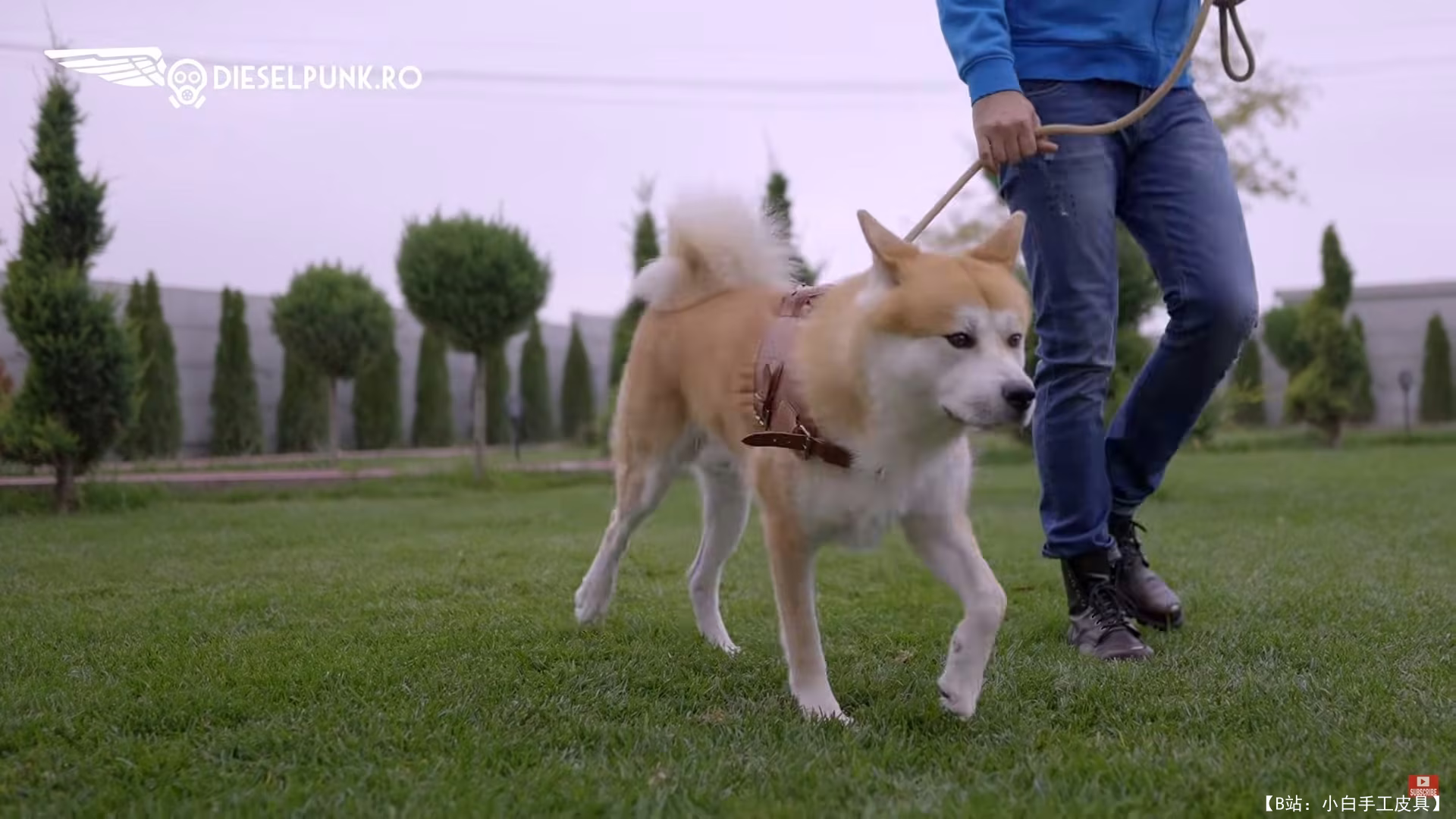 带口袋的免费版型狗背带，由 DieselpunkRo 设计 - 5